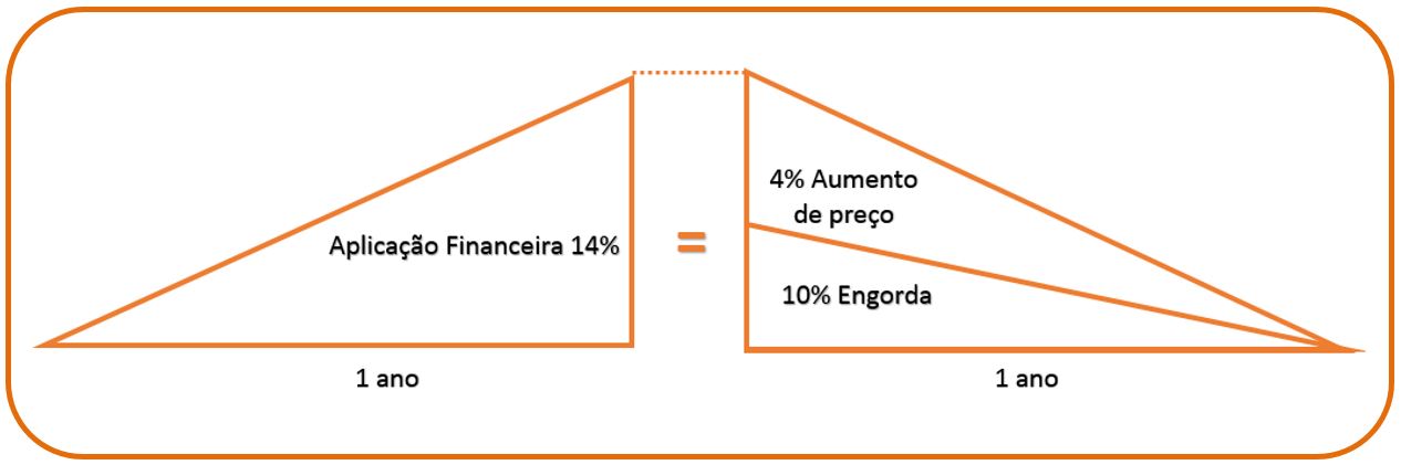 calculo de cupom de dolar